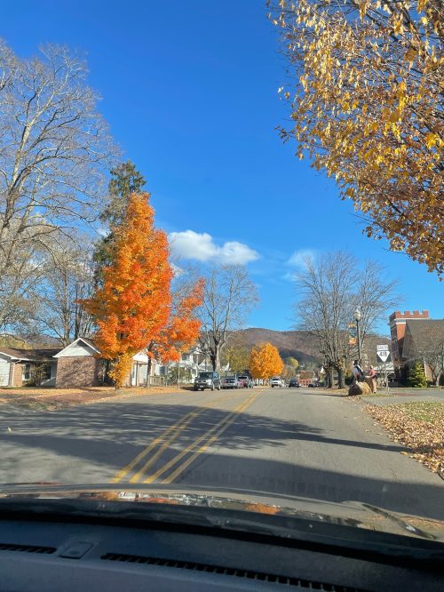 A scenic view of a tree-lined street with vibrant autumn foliage and a clear blue sky.