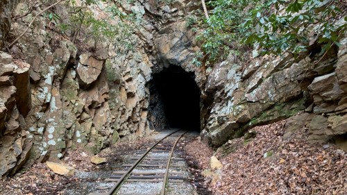 A dark tunnel entrance surrounded by rocky terrain and overgrown foliage, with train tracks leading into the darkness.