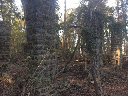 Ruins of stone pillars covered in ivy, surrounded by trees and fallen leaves in a wooded area.