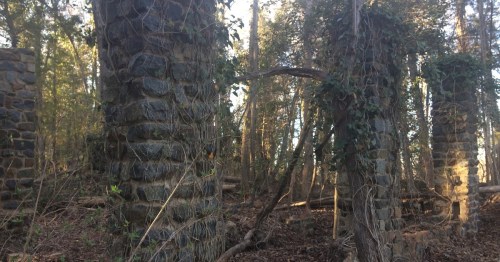 Ruins of stone pillars surrounded by trees and overgrown vegetation in a forest setting.