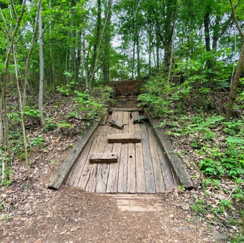 A wooden path leads up a slope through a lush green forest, surrounded by trees and foliage.