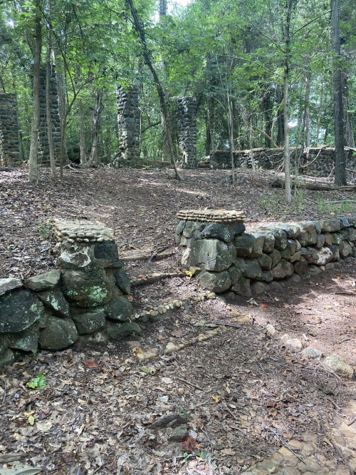 Stone ruins surrounded by trees and foliage, with a dirt path leading through the forest.
