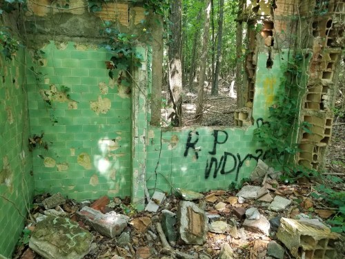 Abandoned structure in a forest, featuring green tiled walls, graffiti, and scattered debris on the ground.