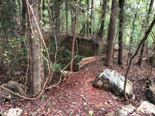 Overgrown forest area with trees, rocks, and remnants of a brick structure partially hidden by vegetation.