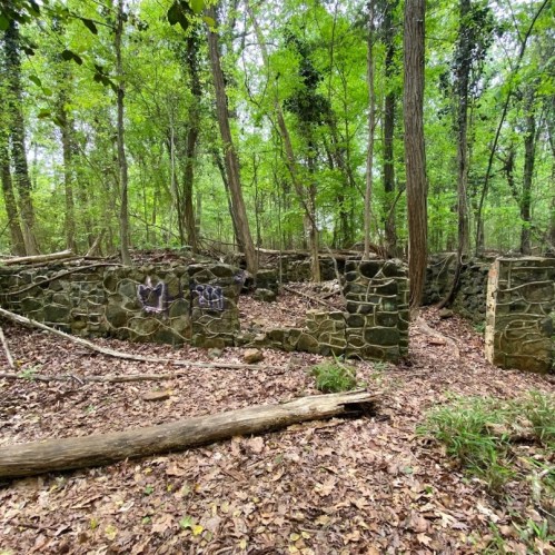 Overgrown stone ruins in a forest, surrounded by trees and fallen leaves, with graffiti on the walls.