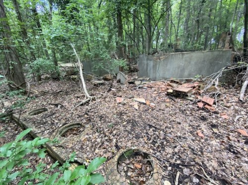 Overgrown forest area with remnants of a concrete structure and scattered debris among fallen leaves and trees.