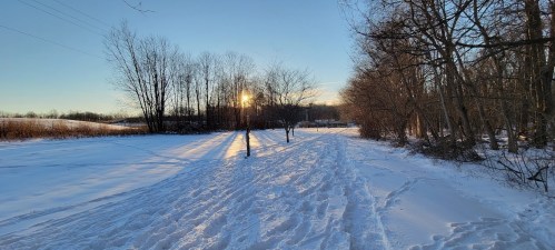 A snowy path lined with trees, with the sun setting in the background, casting warm light on the landscape.