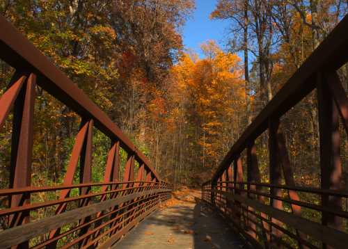 A wooden bridge leads through a vibrant autumn forest with colorful leaves against a clear blue sky.