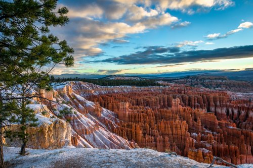 A stunning view of colorful rock formations at Bryce Canyon, with a pine tree in the foreground and a dramatic sky.