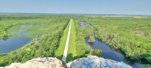 Aerial view of lush green landscape with a winding path and rivers, surrounded by trees under a clear blue sky.