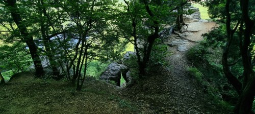 A scenic view of a forested area with rocky paths and lush greenery, showcasing natural terrain and trees.