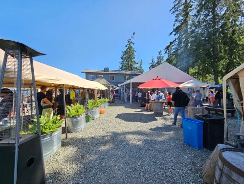 A lively outdoor market scene with tents, people socializing, and trees under a clear blue sky.
