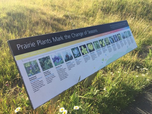 Sign displaying prairie plants and their seasonal changes, with images and descriptions of various flowers.