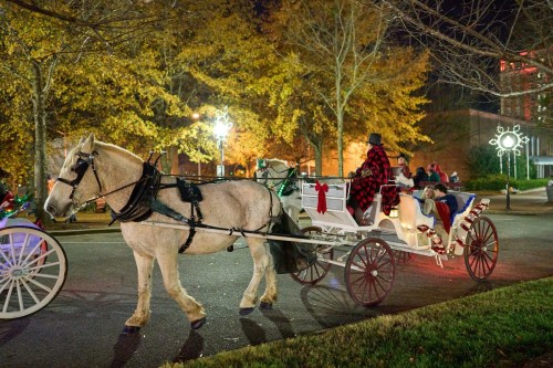 A horse-drawn carriage decorated with festive elements rides through a park at night, surrounded by autumn trees.