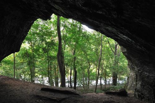 View from inside a cave, showcasing lush green trees and a glimpse of a river in the background.