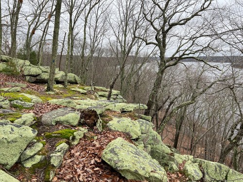 A rocky landscape covered in green moss, with bare trees and a lake visible in the background on a cloudy day.