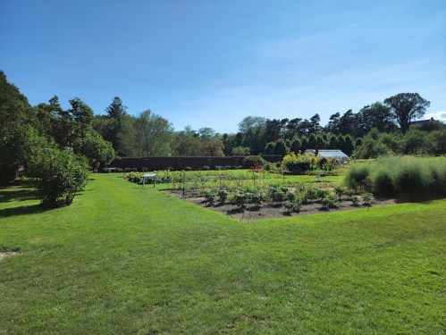A sunny garden with neatly arranged flower beds, green grass, and trees in the background under a clear blue sky.