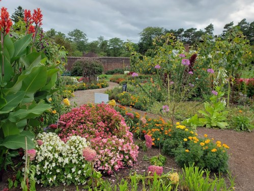 A vibrant garden filled with colorful flowers, lush greenery, and a cloudy sky in the background.