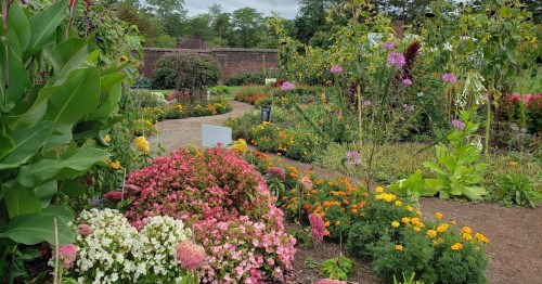 A vibrant garden filled with colorful flowers and lush greenery, featuring winding paths and a serene atmosphere.