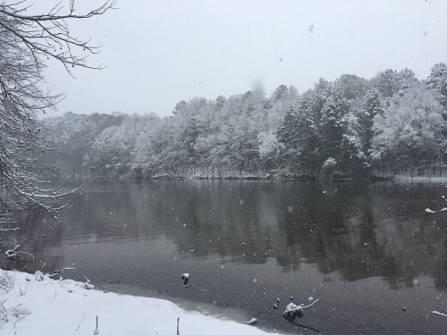 A snowy landscape by a river, with trees covered in white and gentle snowfall creating a serene winter scene.