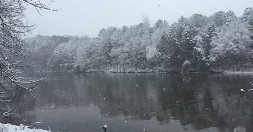 A serene river scene in winter, surrounded by snow-covered trees and gently falling snowflakes.