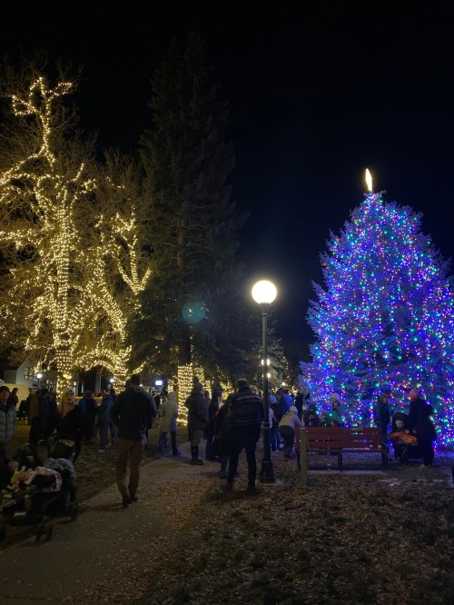 A festive scene at night with a large, brightly lit Christmas tree and people enjoying the holiday decorations.