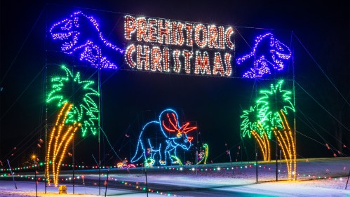 Colorful holiday lights display featuring "Prehistoric Christmas" with dinosaur and palm tree decorations.