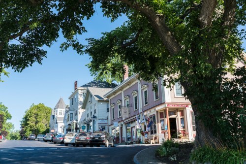 A charming street lined with historic buildings and parked cars, shaded by a large tree on a sunny day.