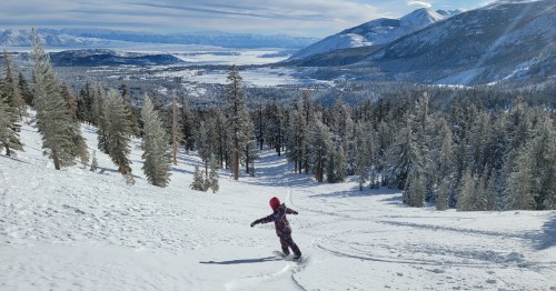 A child in a colorful snowsuit snowboards down a snowy slope, surrounded by tall pine trees and mountains in the background.