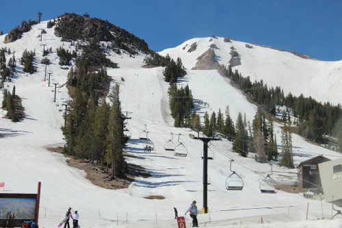 Ski resort with snow-covered slopes, chairlifts, and pine trees under a clear blue sky.