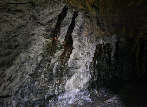 A dark cave wall with textured rock formations and subtle water streaks glistening in low light.