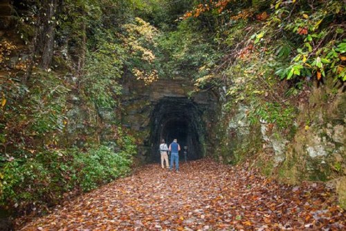 Two people walk towards a dark tunnel entrance, surrounded by lush greenery and fallen autumn leaves.