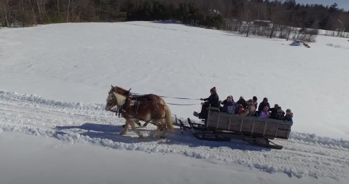 A horse-drawn sleigh carries a group of people through a snowy landscape. Trees are visible in the background.