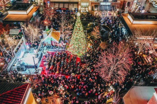 Aerial view of a large crowd gathered around a decorated Christmas tree in a festive outdoor setting.
