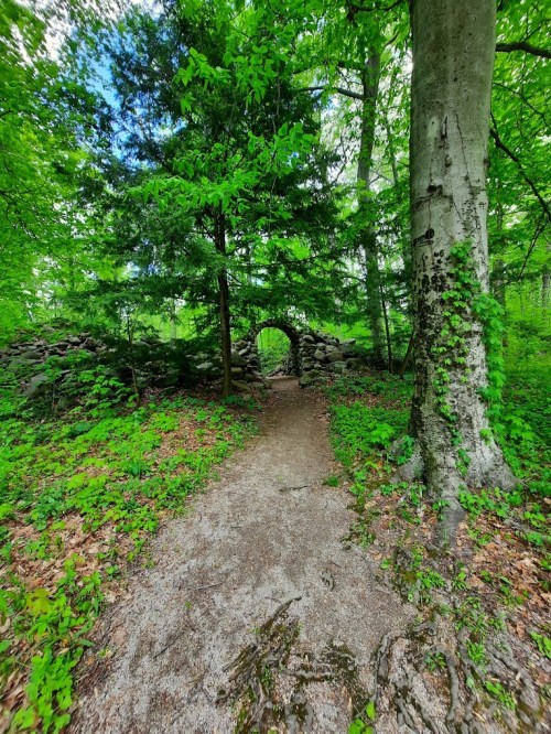 A serene forest path leads through lush greenery and a stone archway, surrounded by tall trees and vibrant foliage.