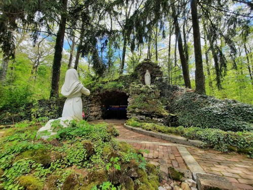 A serene forest scene featuring a stone grotto with a statue, surrounded by lush greenery and moss-covered paths.