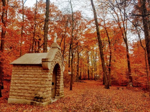 A stone chapel surrounded by vibrant autumn foliage and fallen leaves in a serene forest setting.