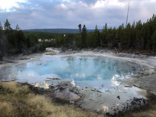 A serene geothermal pool surrounded by trees, with steam rising under a cloudy sky in a natural landscape.