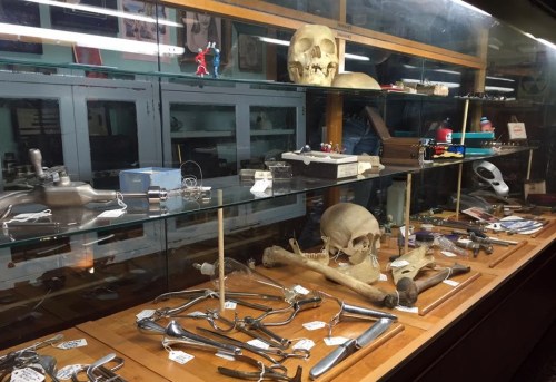 Display case filled with various antique medical tools, skulls, and curiosities in a dimly lit room.