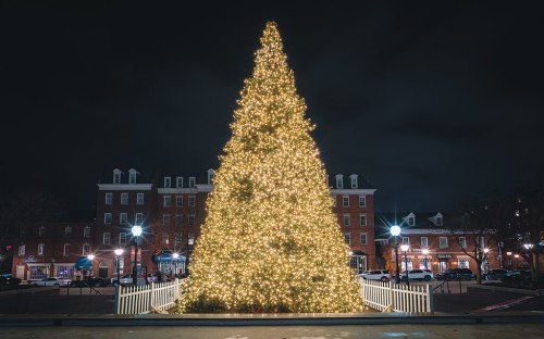 A beautifully lit Christmas tree stands in a town square at night, surrounded by buildings and streetlights.