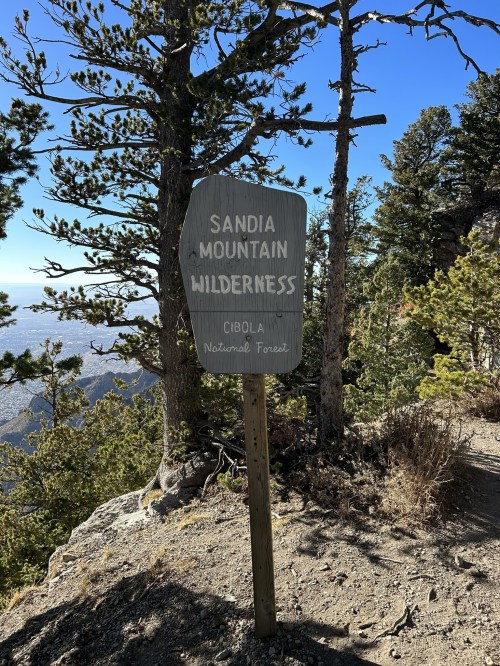 Sign for Sandia Mountain Wilderness in Cibola National Forest, surrounded by trees and a clear blue sky.
