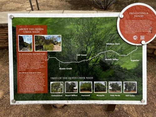 Informational sign about Queen Creek Wash, detailing its history, flood prevention, and local tree species.