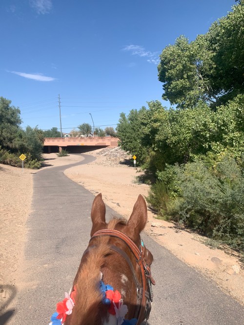 View from a horse's back on a path leading to a bridge, surrounded by trees and a clear blue sky.