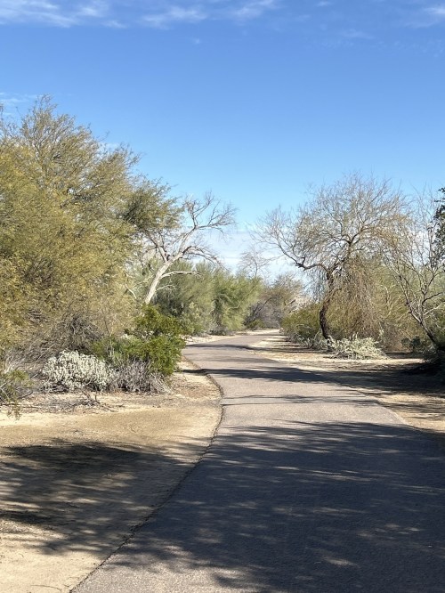 A winding path through a desert landscape with sparse vegetation and a clear blue sky.