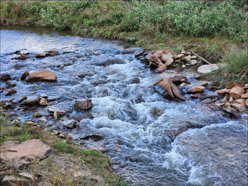 A flowing river with smooth rocks and greenery along the banks, creating a serene natural landscape.