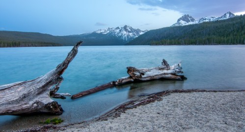 A serene lake surrounded by mountains, with driftwood on the shore and a calm, reflective water surface.