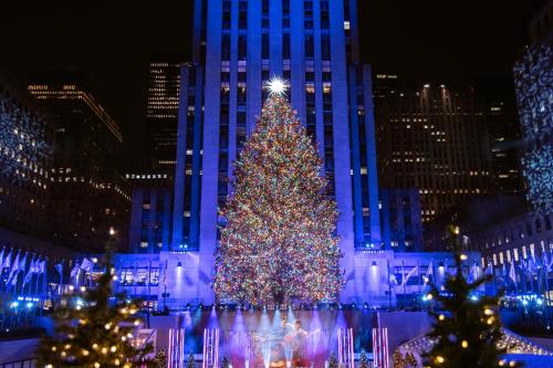 A brightly lit Christmas tree stands in front of a tall building, surrounded by festive lights and decorations at night.