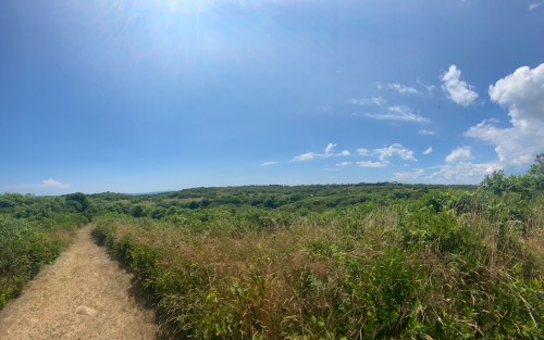 A panoramic view of a lush green landscape under a bright blue sky with scattered clouds. A dirt path leads through the grass.