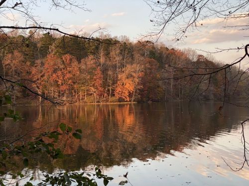 A serene lake reflecting autumn trees with vibrant orange and yellow leaves under a soft sunset sky.