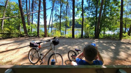 A child sits on a bench by a lake, with two bicycles parked nearby, surrounded by trees and nature.
